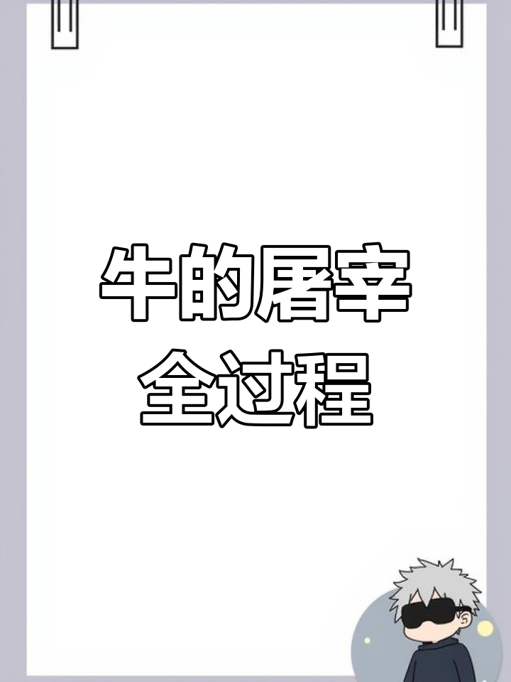现代屠宰设备与工艺流程揭秘