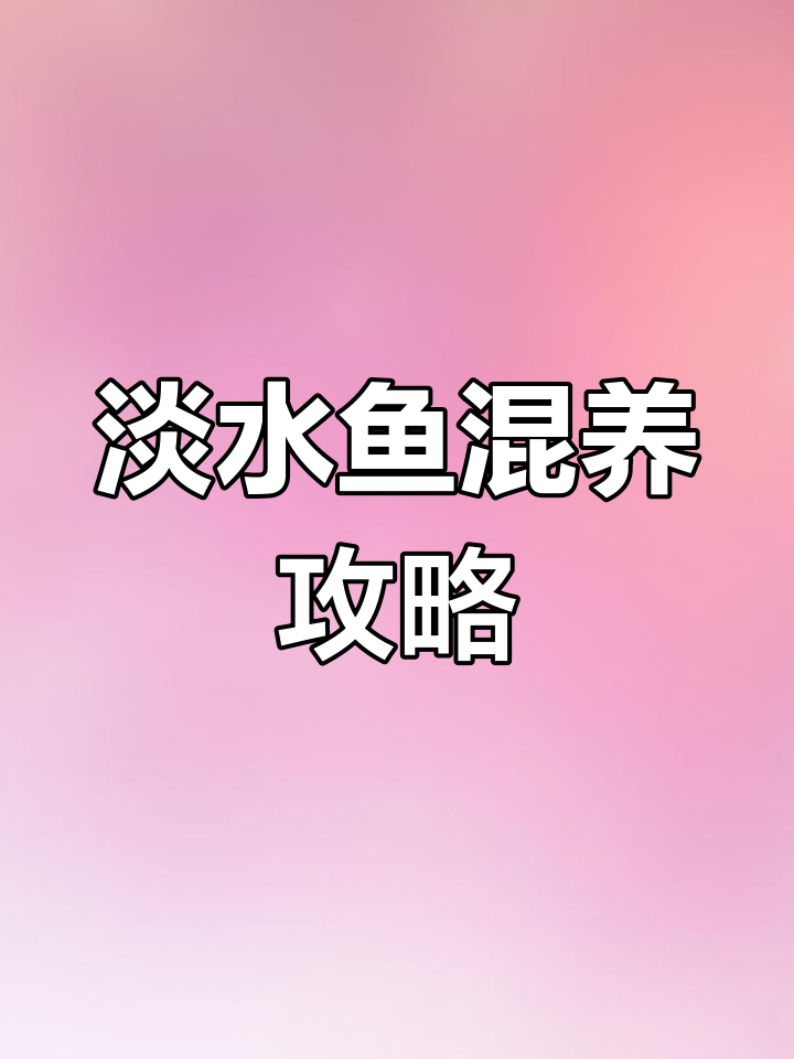 四大家淡水鱼混养技巧,轻松掌握养殖要点