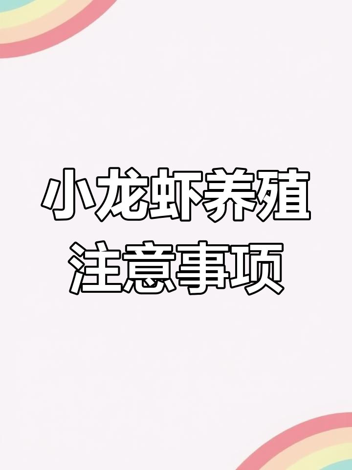 小龙虾养殖管理要点:如何应对黑水、甲壳溃疡等问题