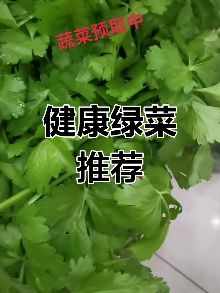 纯天然绿色蔬菜大集合,健康又美味!
