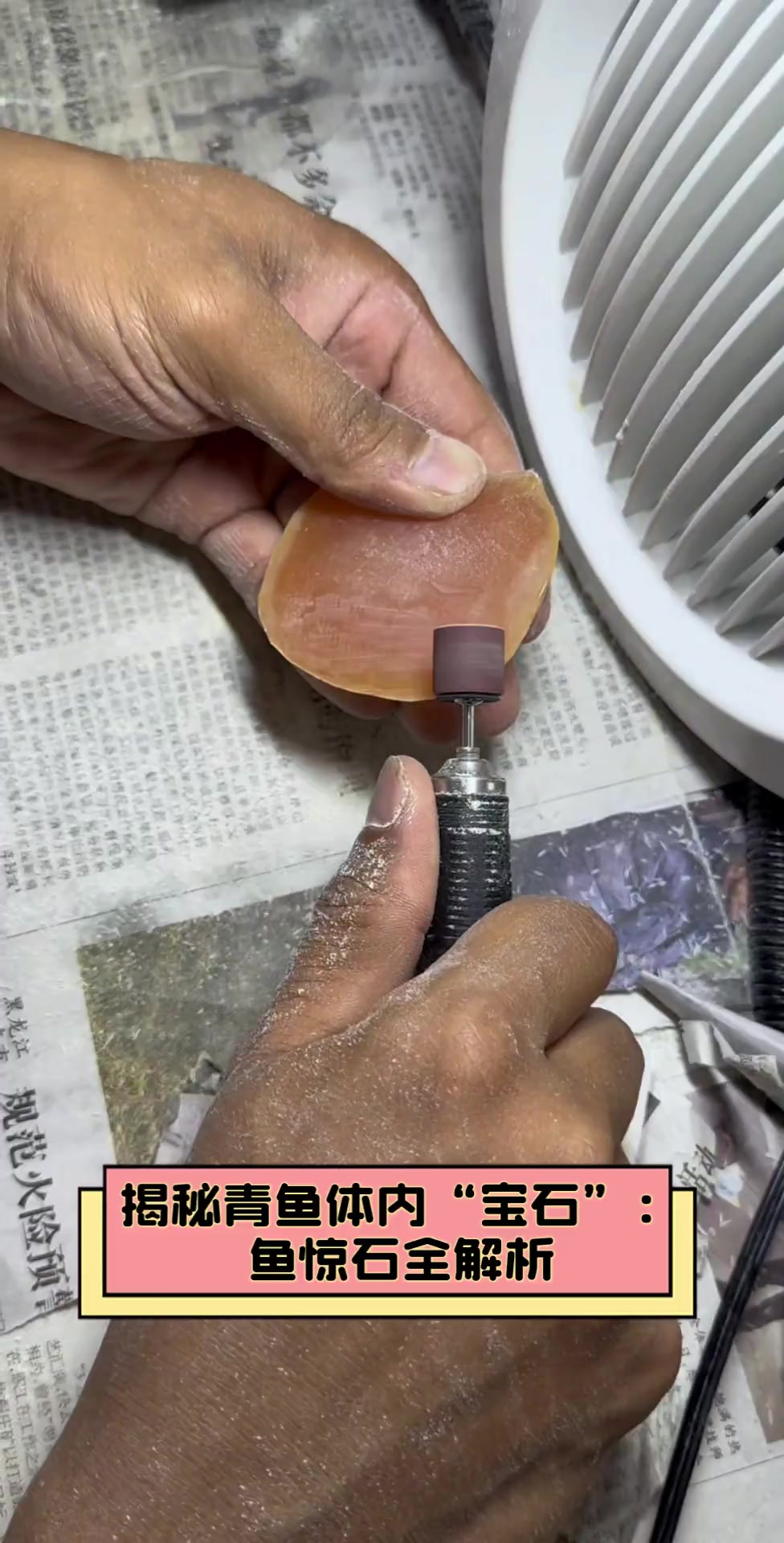 揭秘青鱼体内“宝石”:鱼惊石全解析