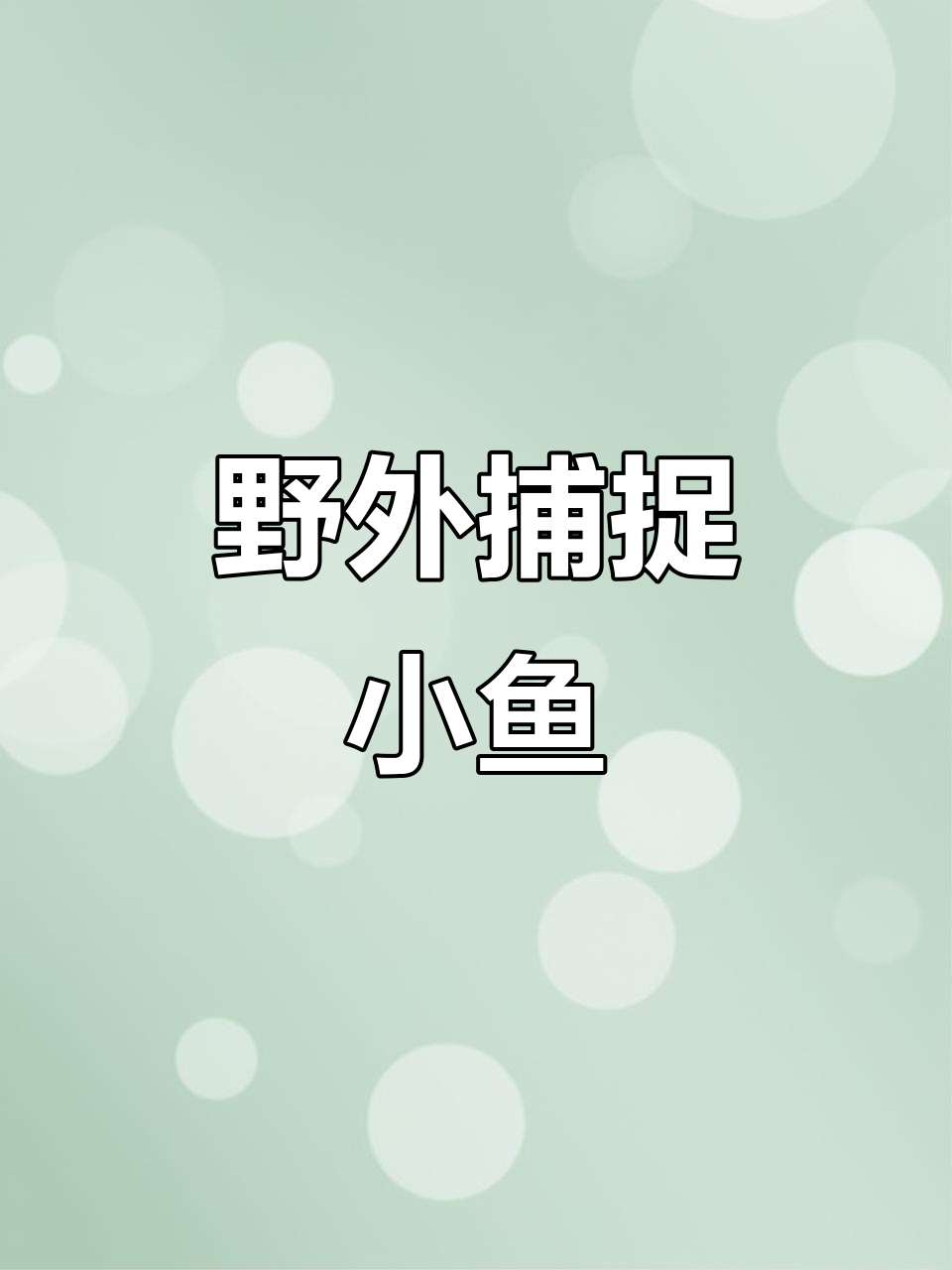 野生鱼捕捞实录:小溪里的惊险追逐与真实体验