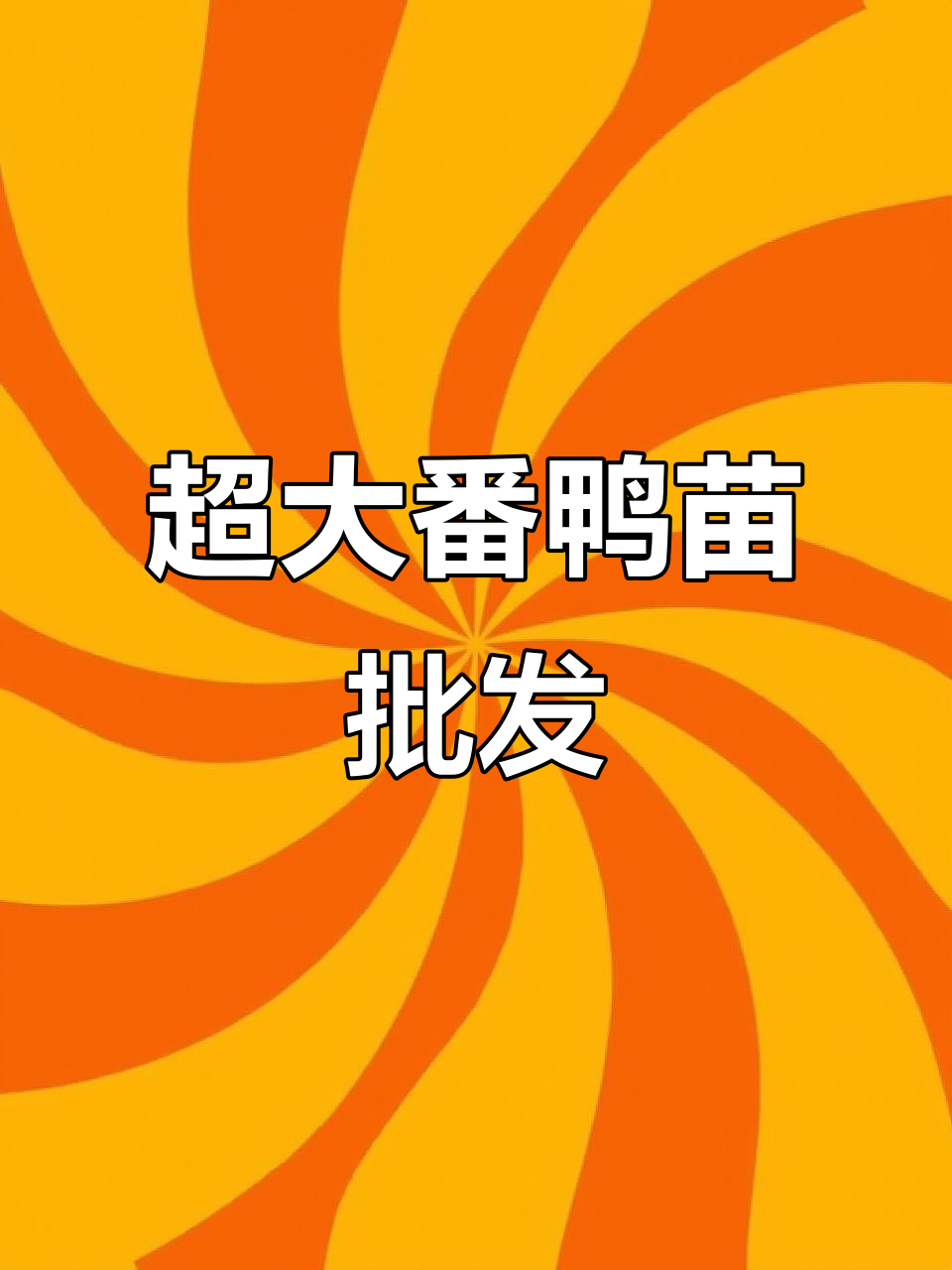 特大番鸭苗批发,养殖必备!