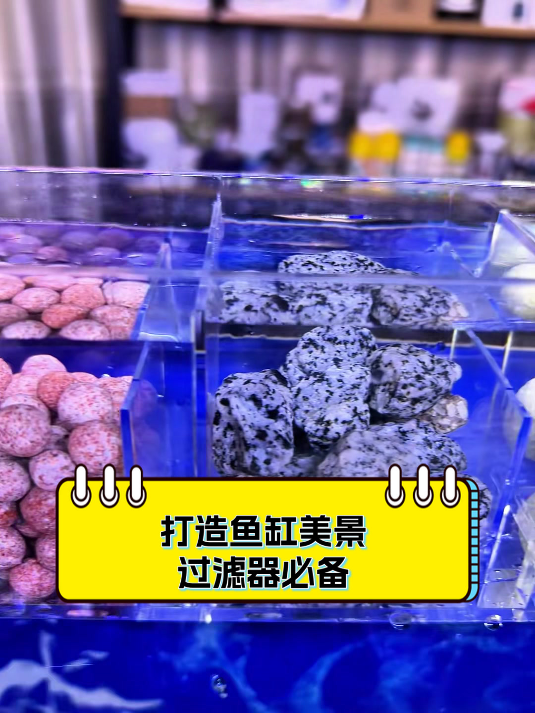 打造鱼缸美景,过滤器必备