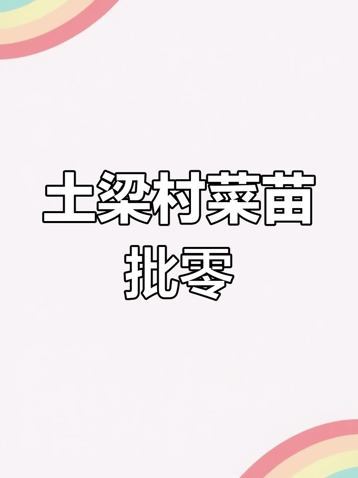 佃坝镇土梁村蔬菜苗批发零售,优质种苗助力种植基地