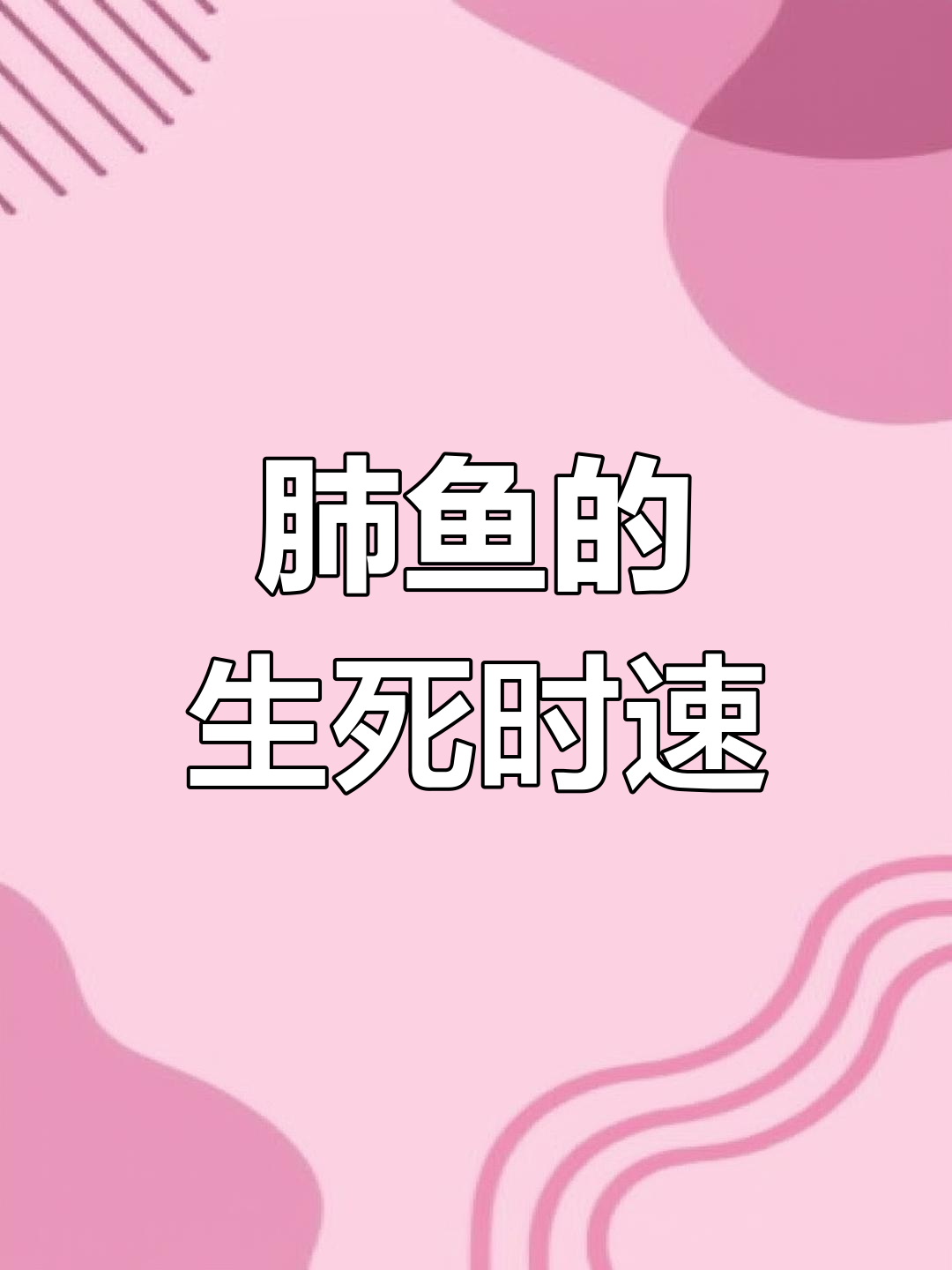 非洲肺鱼如何在干旱中生存半年,躲过恐龙灭绝却难逃人类之手