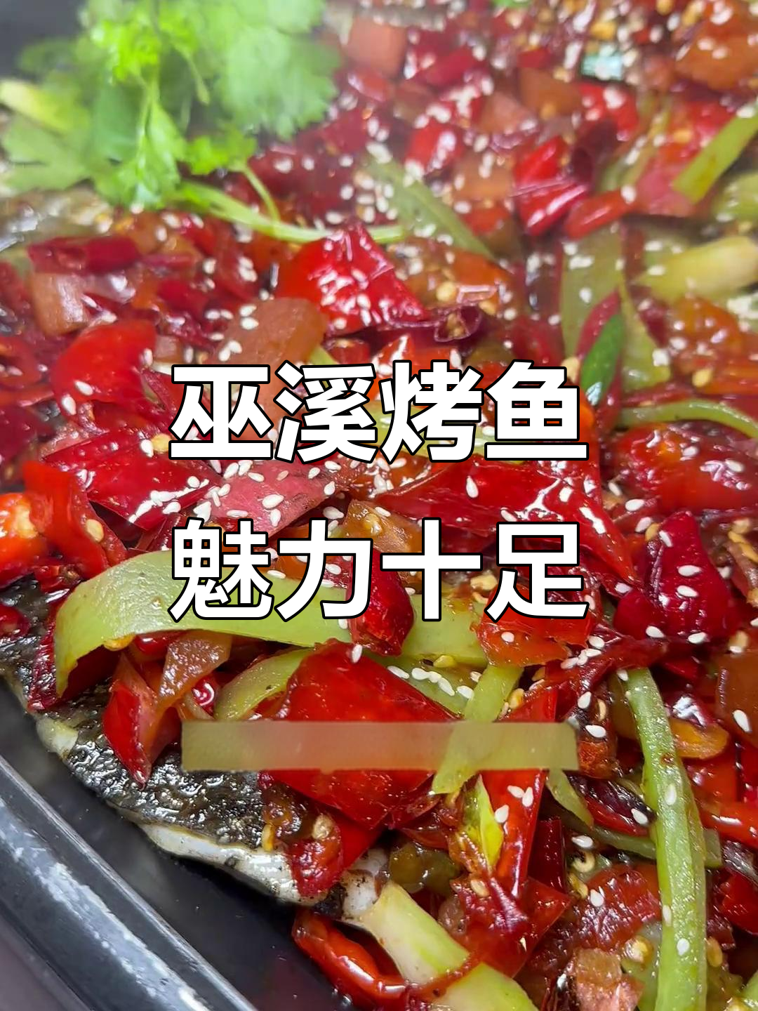 重庆巫溪烤鱼,香辣鲜美让你停不下来!
