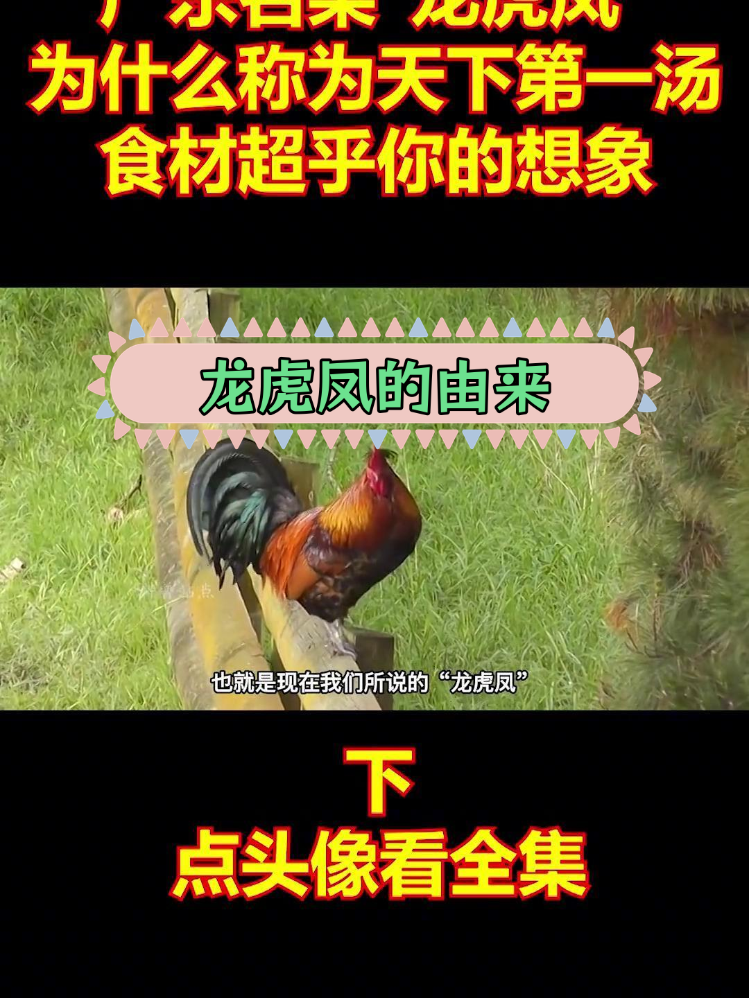 广东龙虎凤:独特美味背后的故事