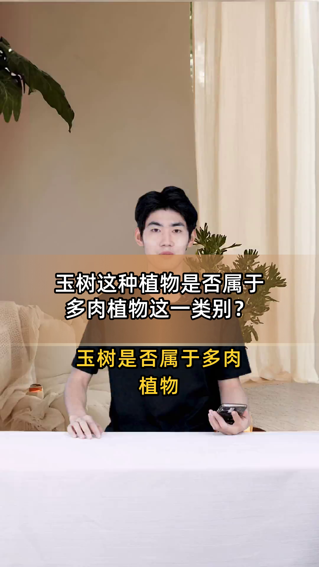 玉树这种植物是否属于多肉植物这一类别?