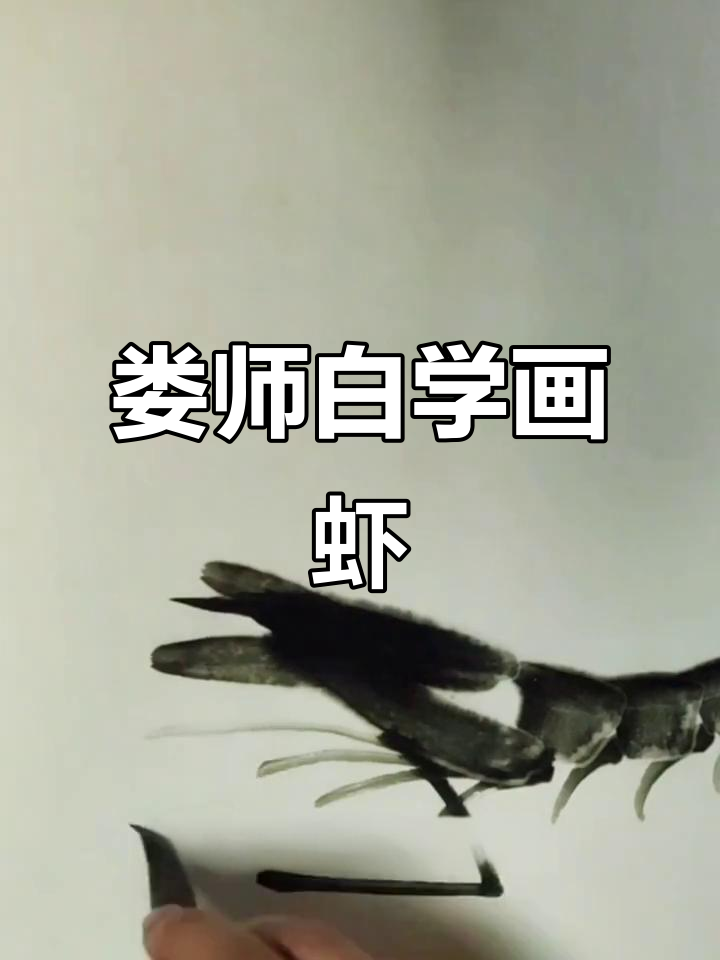 娄师白画虾技艺大揭秘:从临摹到乱针的转变