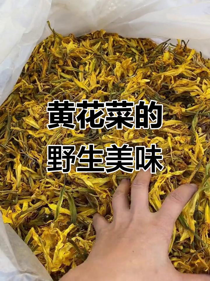 山里野生的黄花菜,口感独特,值得一试!
