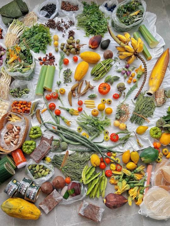 为了在家露营我飞去云南买了堆猎奇菜