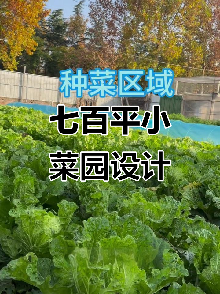 小菜园规划全攻略:如何打造家庭农场与休闲区