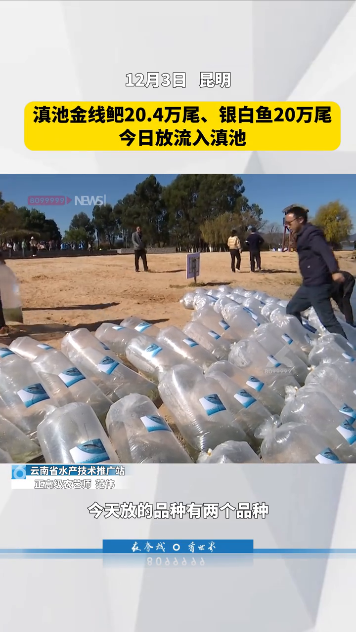 助力滇池土著鱼物种恢复,40.4万尾土著鱼集中放流滇池