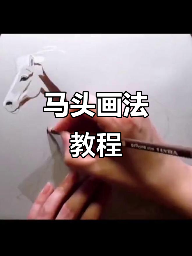 轻松画出可爱马头,步骤简单又有趣