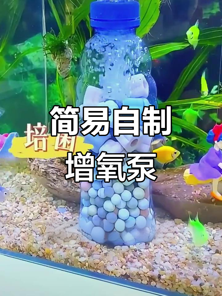 自制鱼缸增氧泵，简单材料打造水妖精