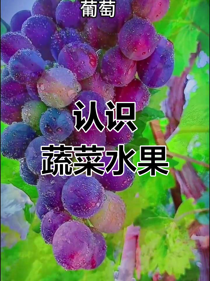 轻松记住水果蔬菜名称,左点左边教你快速掌握