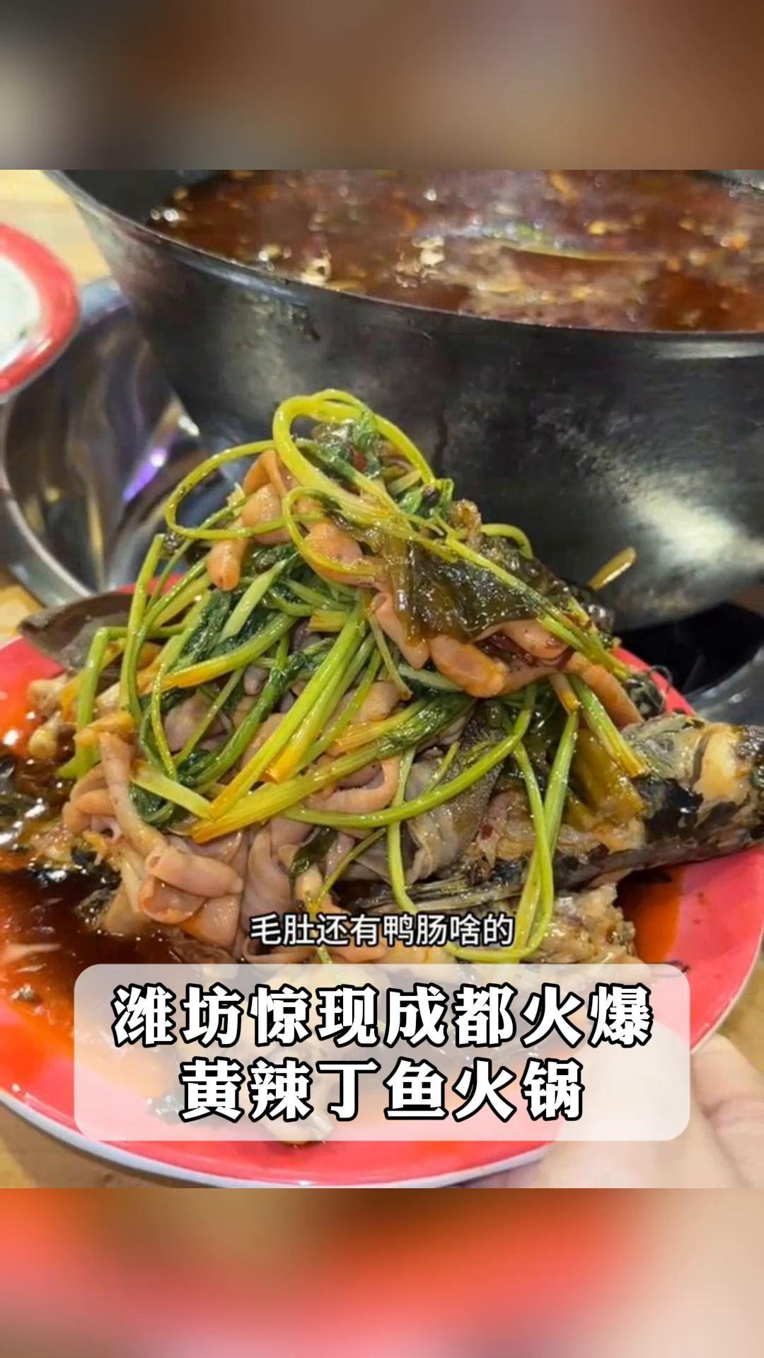 潍坊惊现成都火爆,黄辣丁鱼火锅