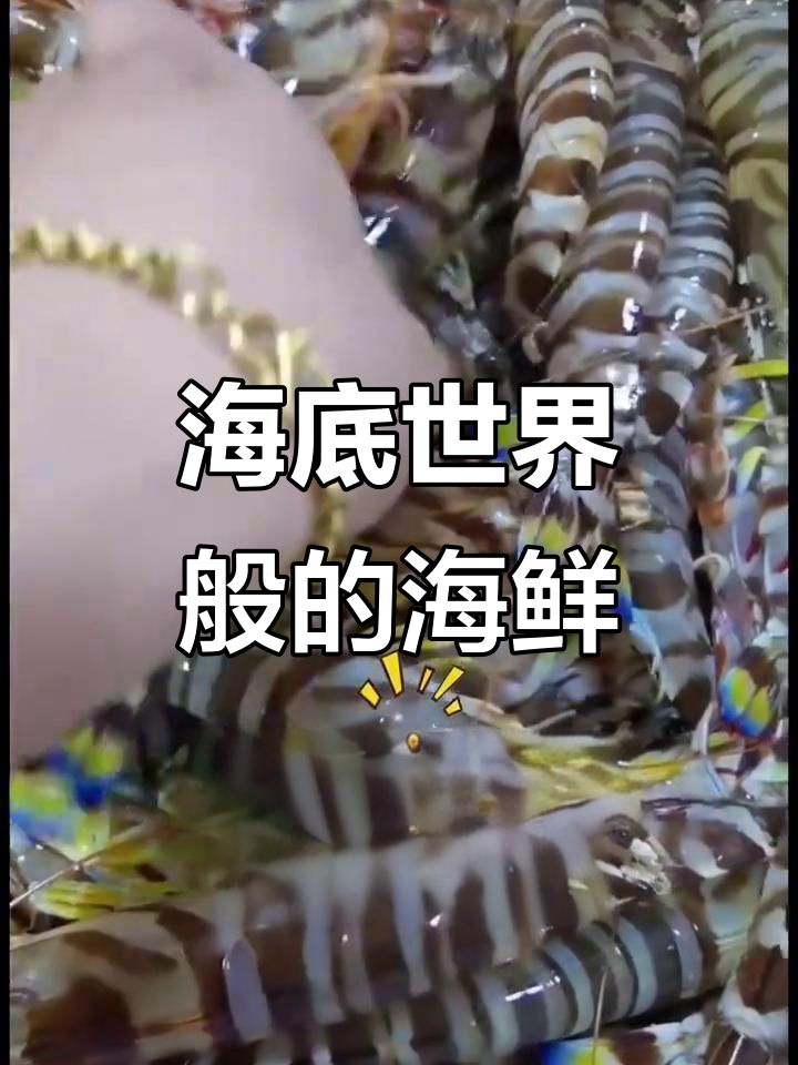 海鲜市场,仿佛置身海底,种类繁多令人目不暇接!