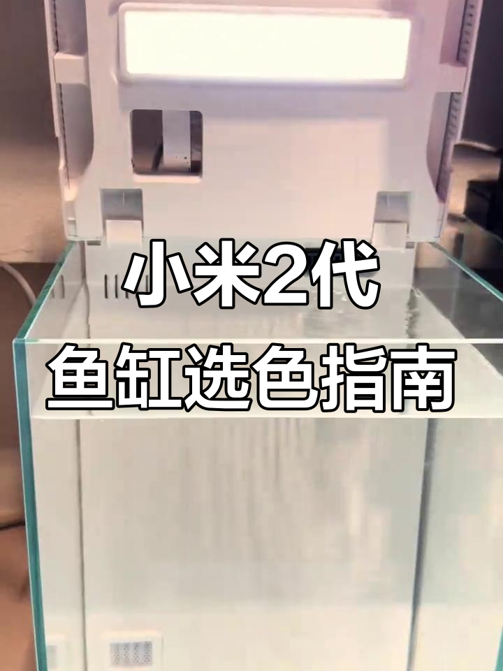 白色与黑色小米二代鱼缸,哪个更适合你?
