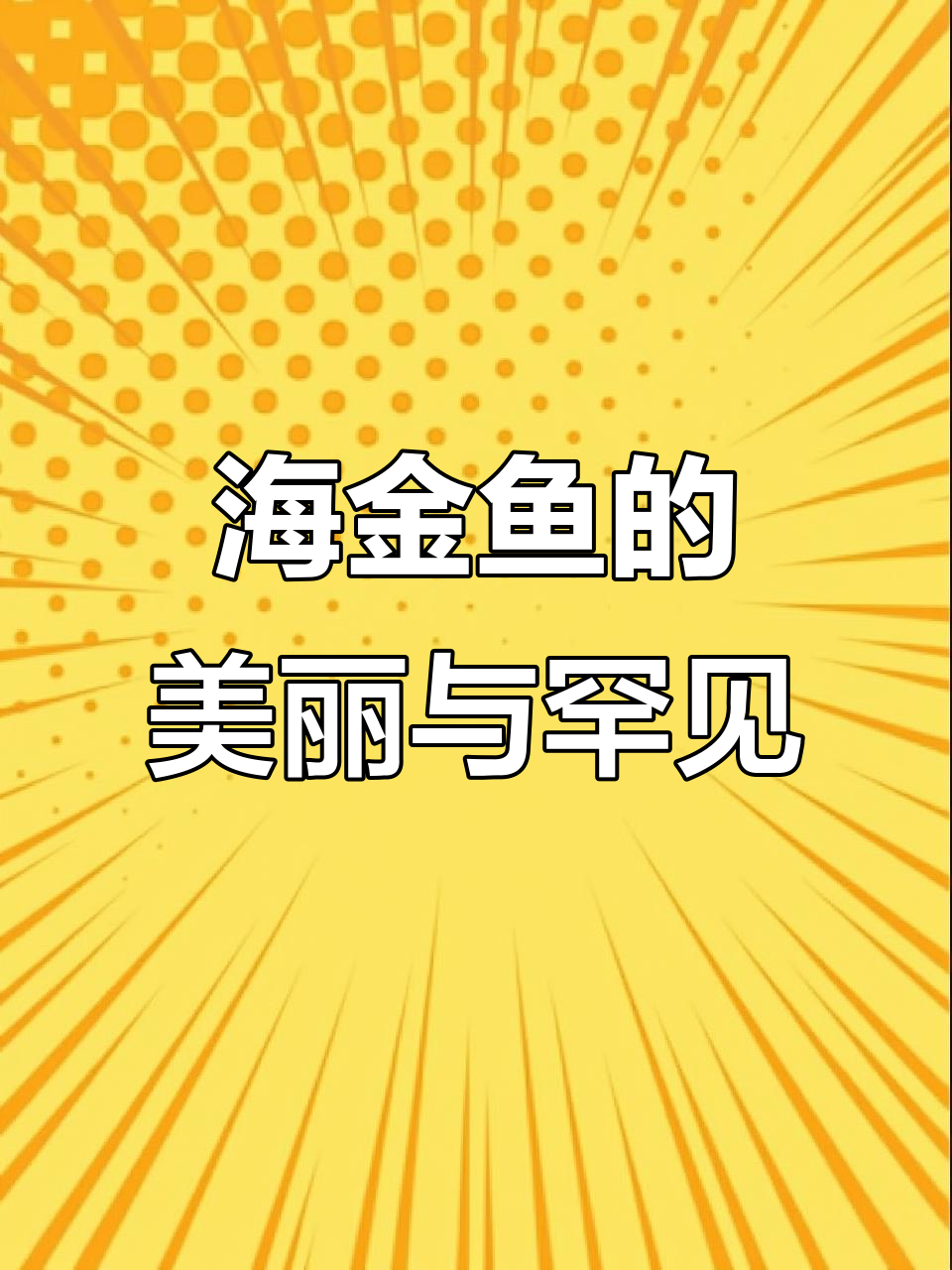 稀有海金鱼惊艳登场，巨大身躯令人惊叹