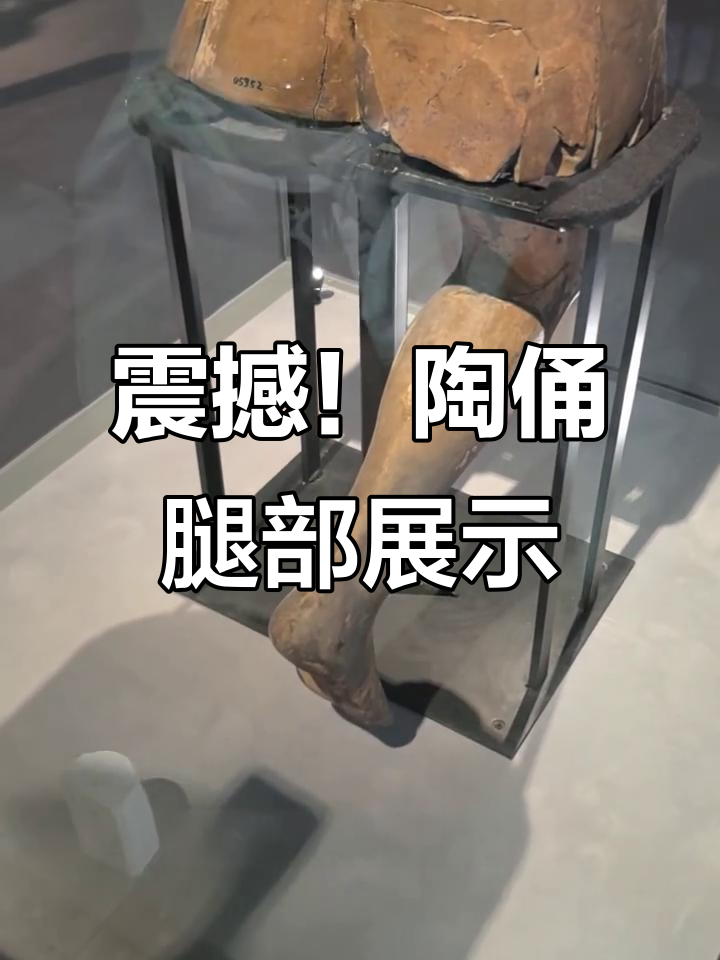 陶俑腿部的惊人细节，骨骼肌肉清晰可见