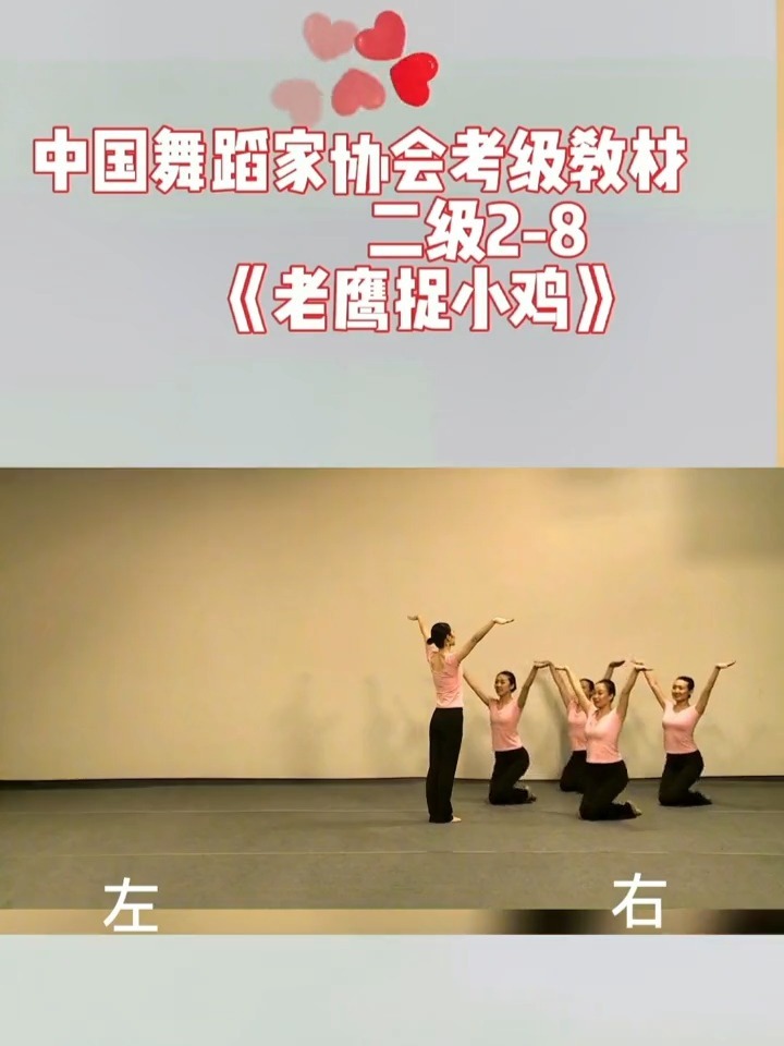 舞协二级2-8《老鹰捉小鸡》镜面教材