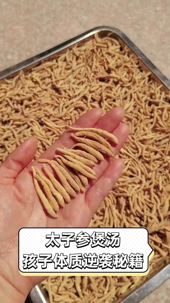 太子参煲汤,孩子体质逆袭秘籍