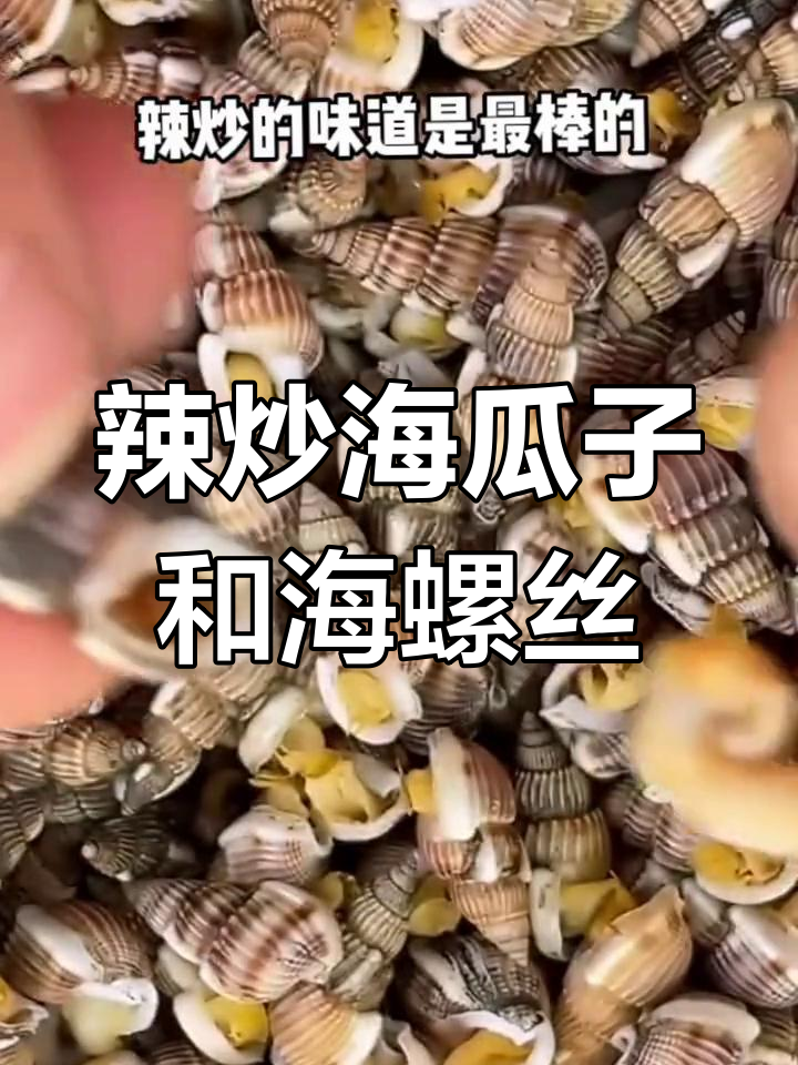 海瓜子海螺丝辣炒下酒,鲜香十足!
