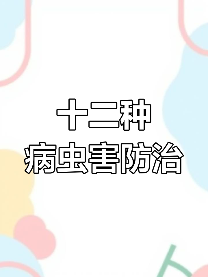 白菜病虫害防治全攻略