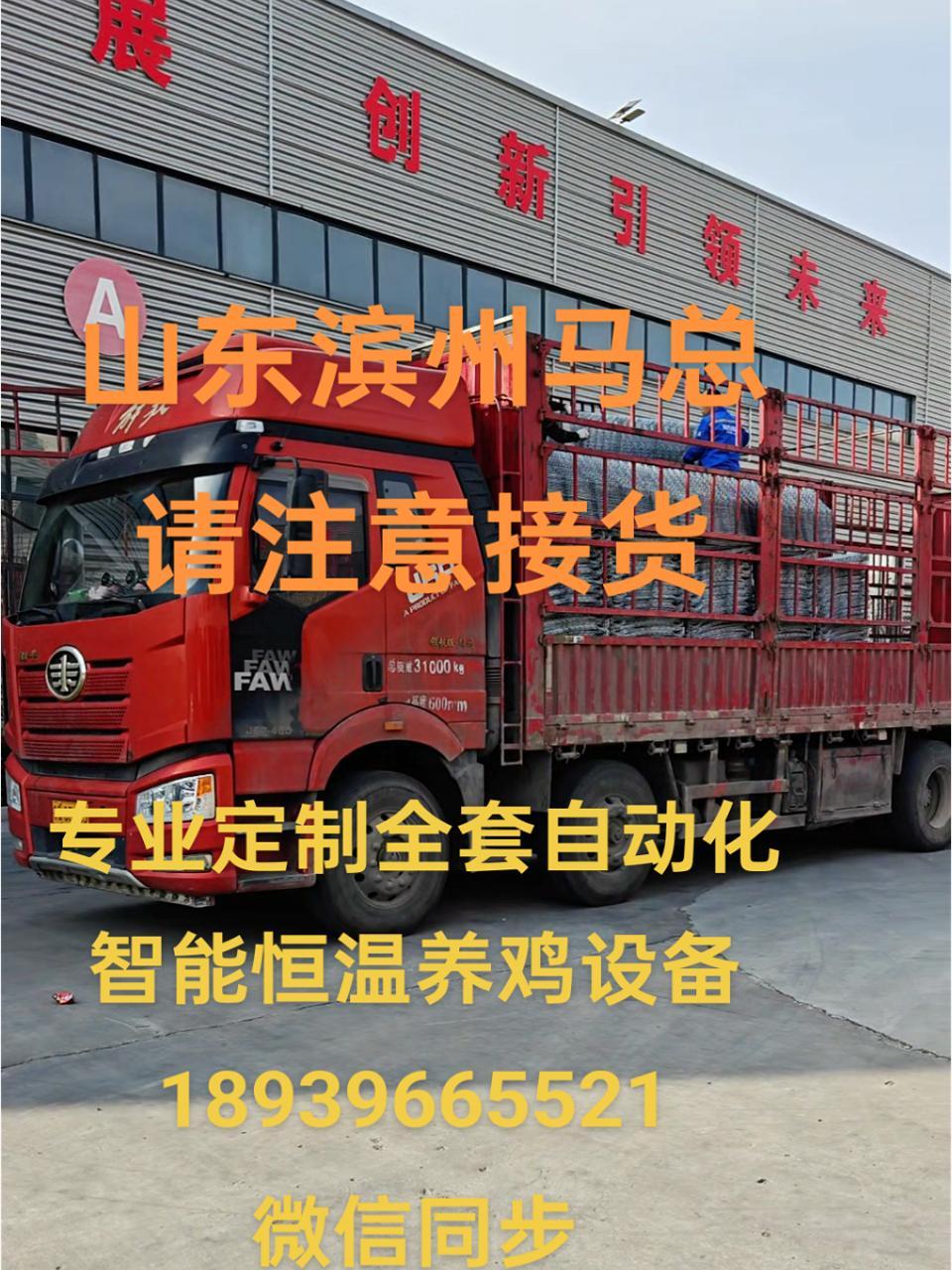 专业生产厂家 装车出货 全国发货欢迎合作 专业定制全套自动化养鸡设备 专业厂家