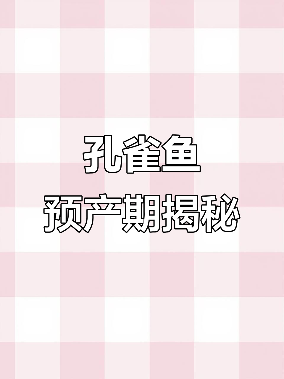 孔雀鱼临产征兆,头胎特征解析