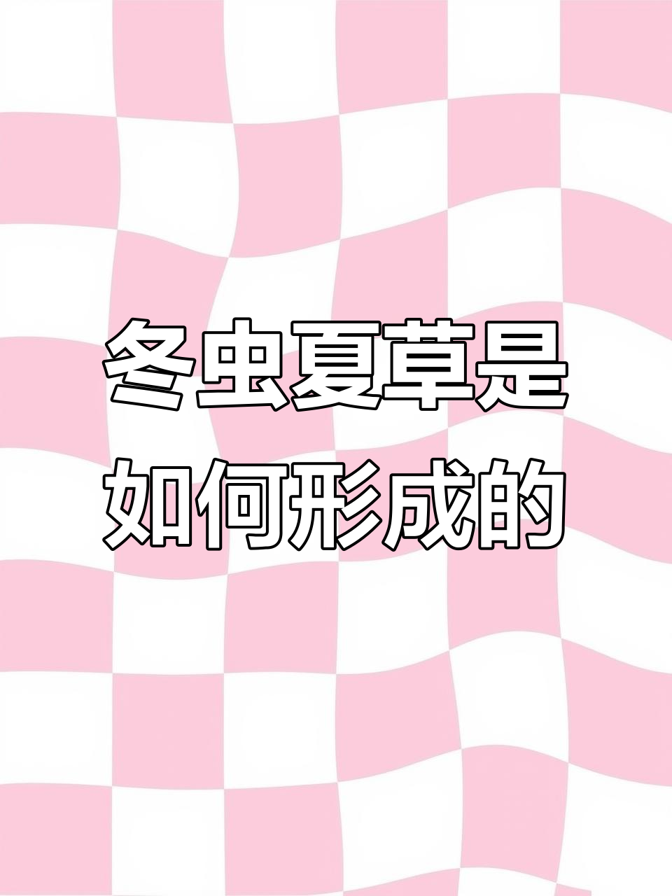 冬虫夏草的生长过程:从蝙蝠鹅卵到真菌感染的奇妙转变