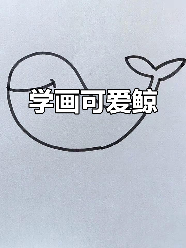 轻松学画鲸鱼,步骤简单又有趣