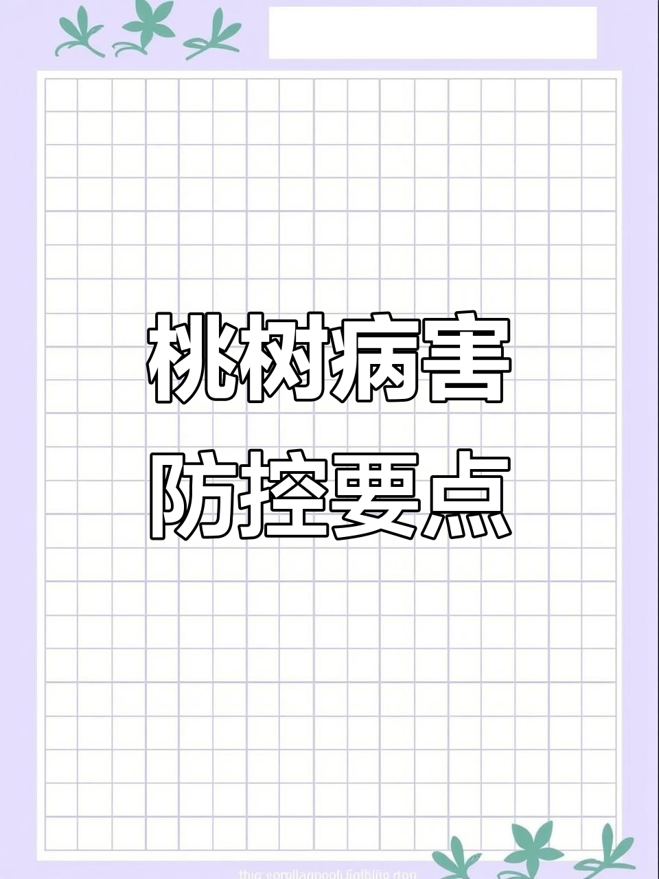 桃子病虫害防治全攻略,关键时期用药技巧大公开