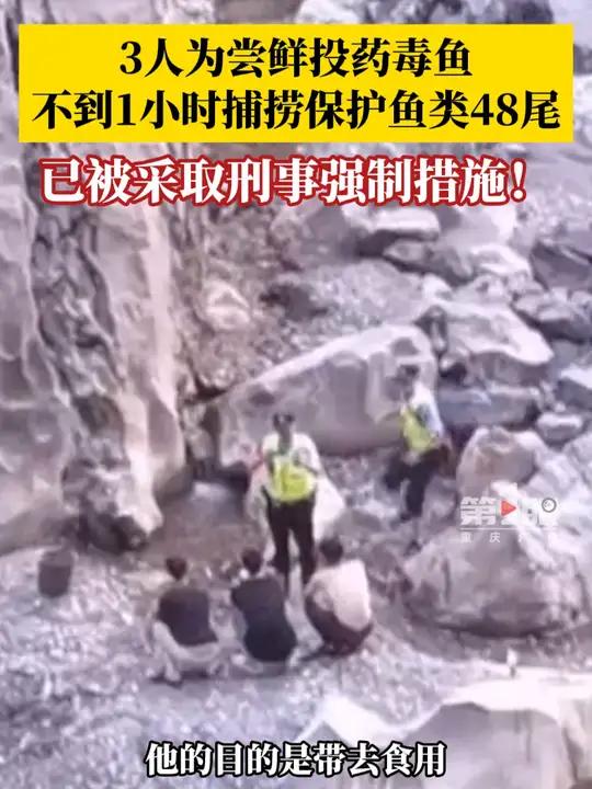 把鱼先毒晕,再到下游用网捞上来,3名男子为尝鲜偷药毒鱼被抓,民警:非法捕捞国家二级保护鱼类