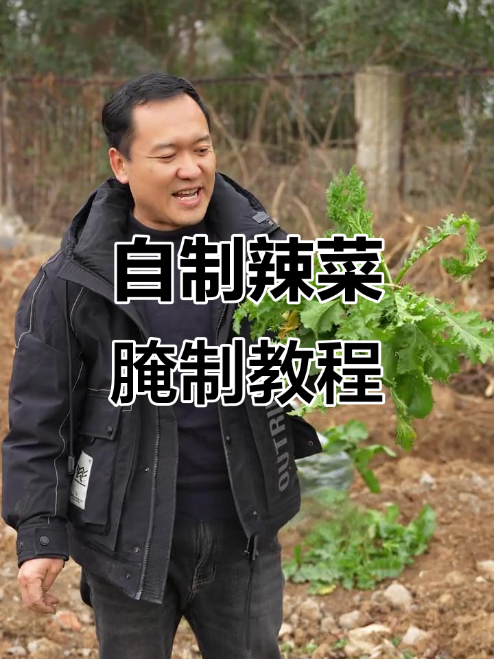 河南野辣菜的美味做法,腌起来超下饭