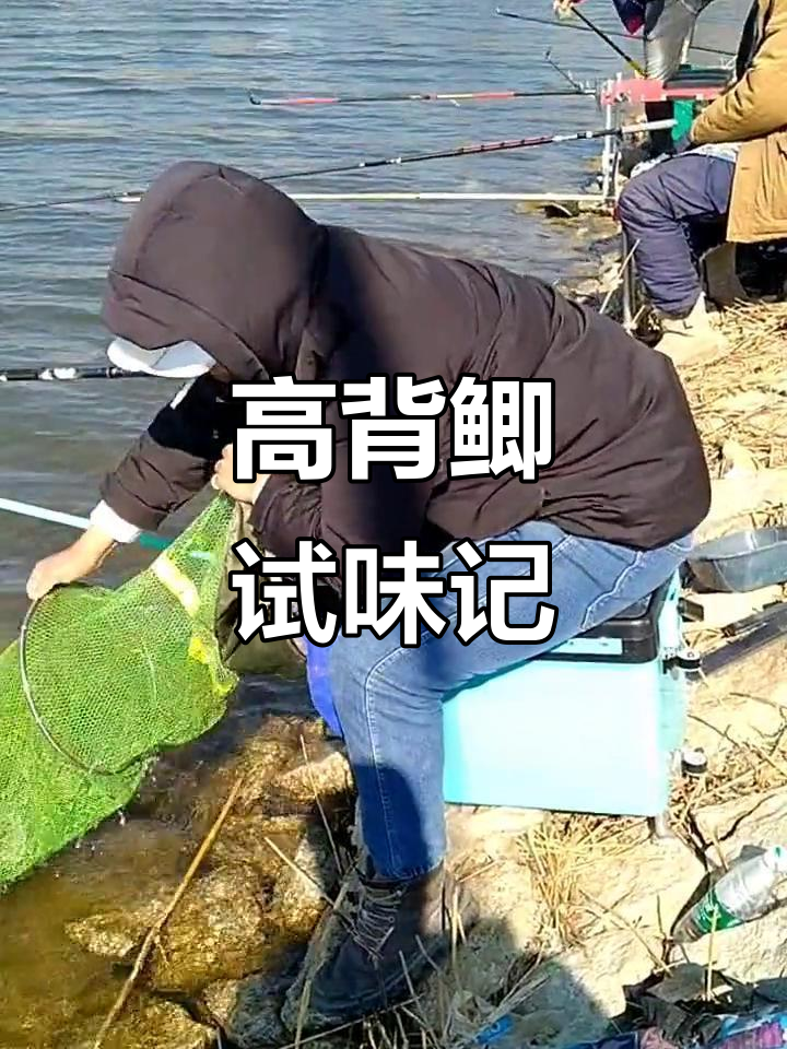 钓友带我尝试高背鲫,听说味道不咋地!