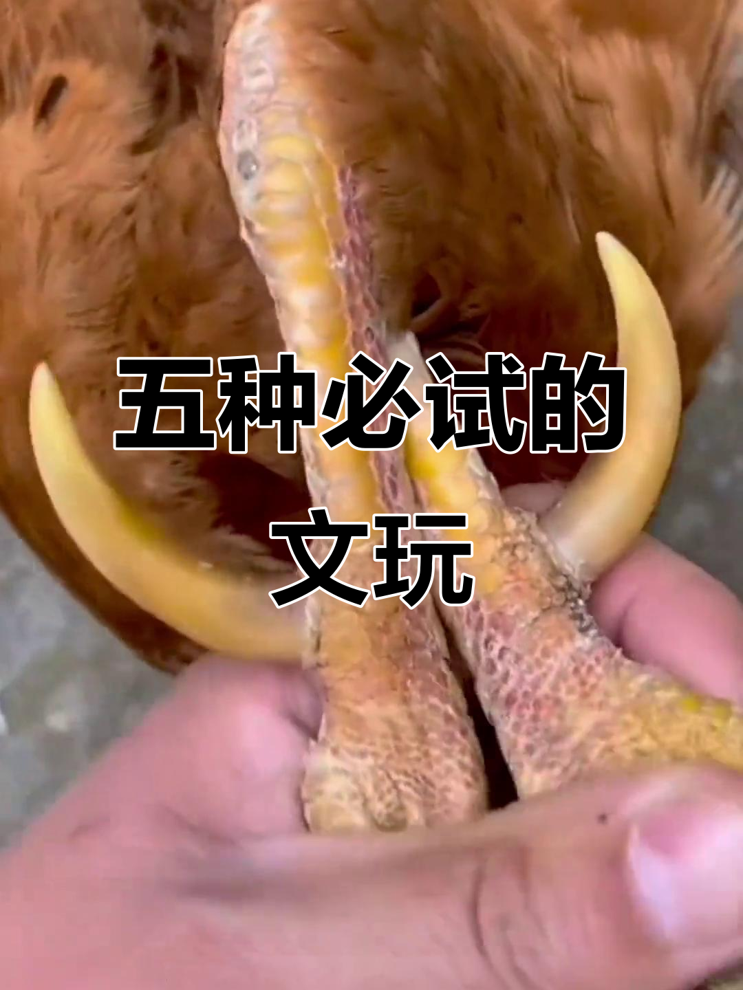 五大惊雷文玩,看看你玩过几种?