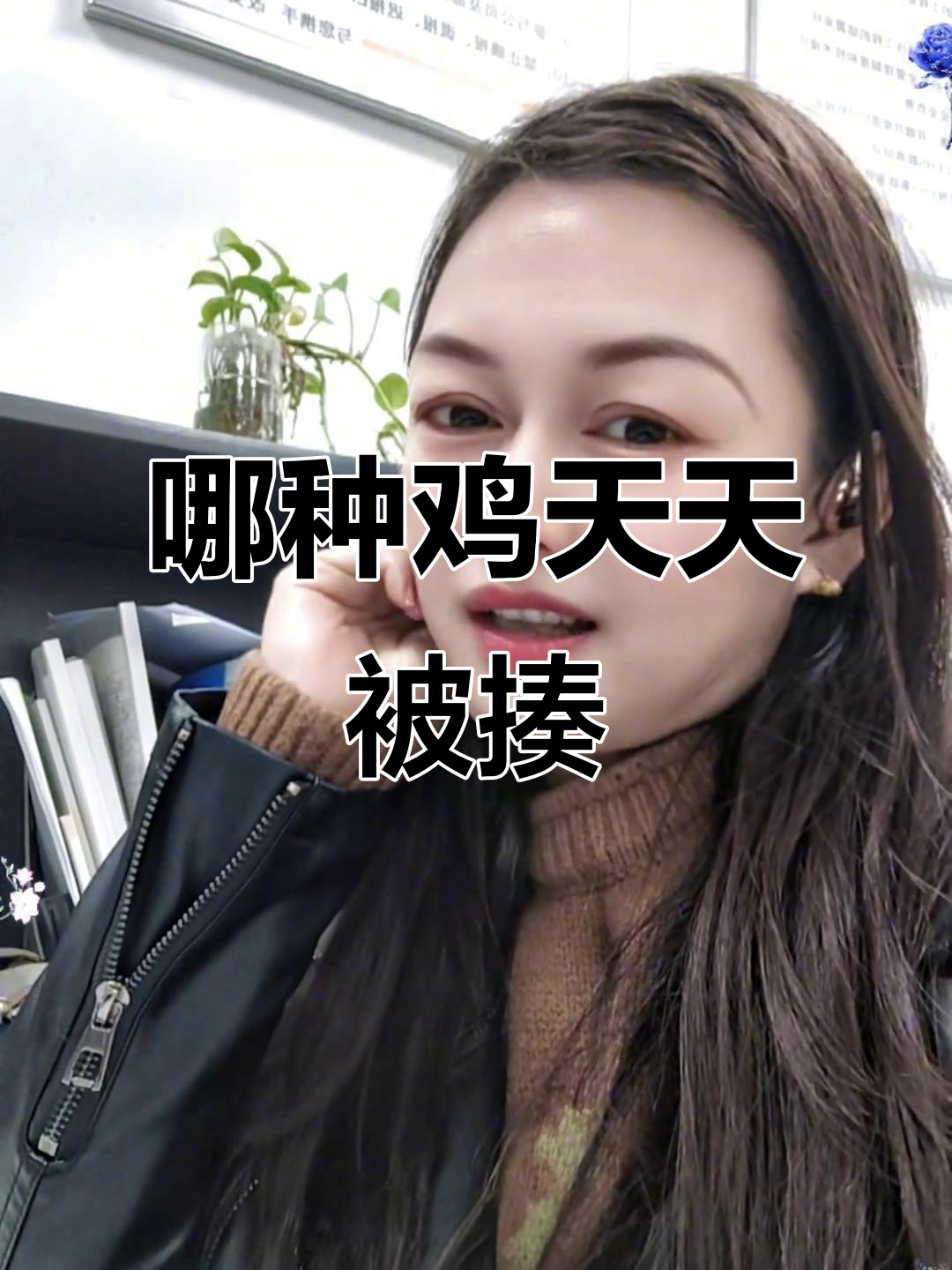 公鸡母鸡火鸡野鸡,哪种天天挨打?答案超简单!