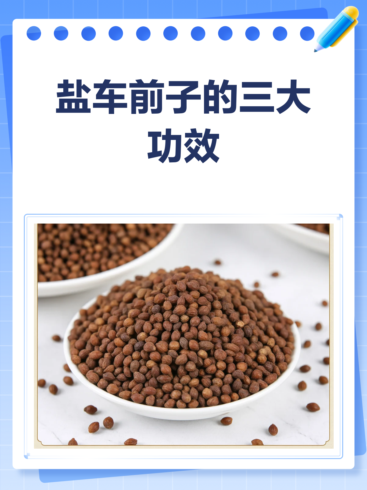 盐车前子:清热利尿又明目,但这些人慎用!