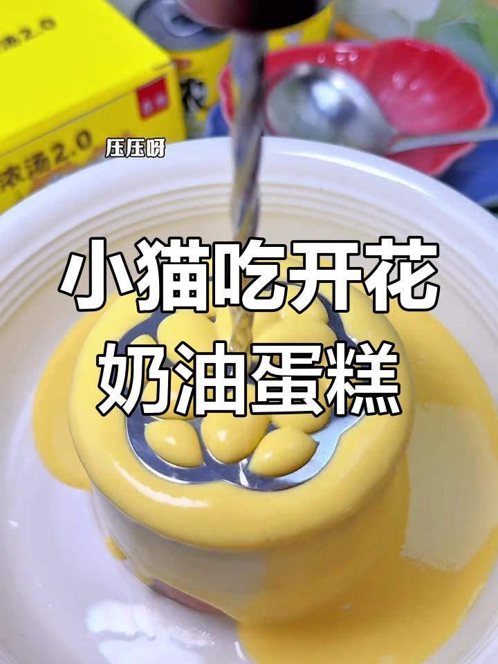 猫咪们的奶油蛋糕大餐