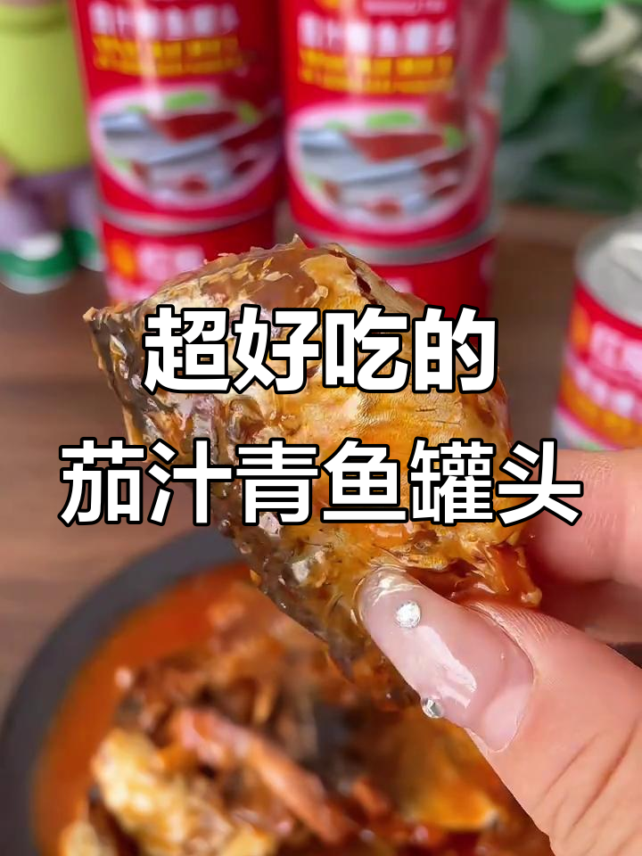 茄汁鲭鱼罐头,鱼肉鲜嫩配番茄酱,追剧必备!