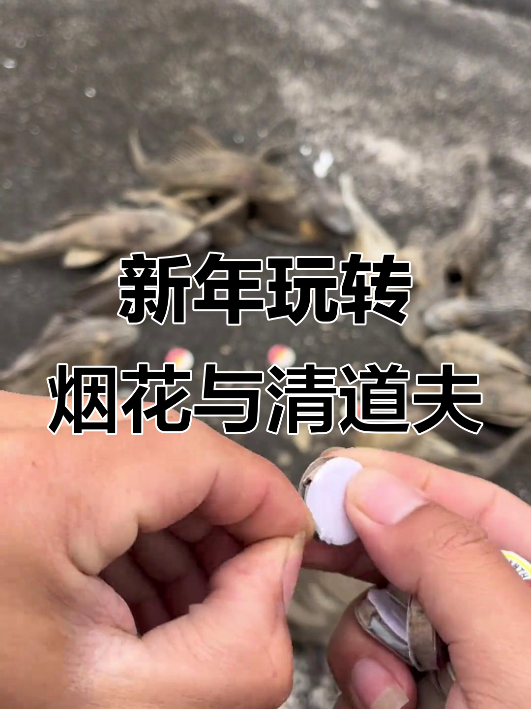 农村新年大挑战:用烟花点燃清道夫鱼干,结果竟然这样!