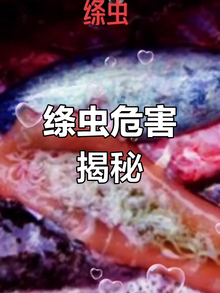 绦虫感染导致肠道膨胀,鱼体消瘦,内脏受损