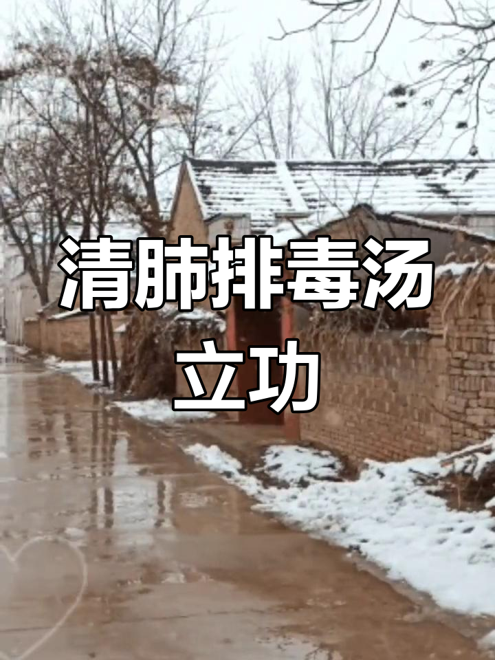 葛又文的清肺排毒汤:民间中医的救命之方