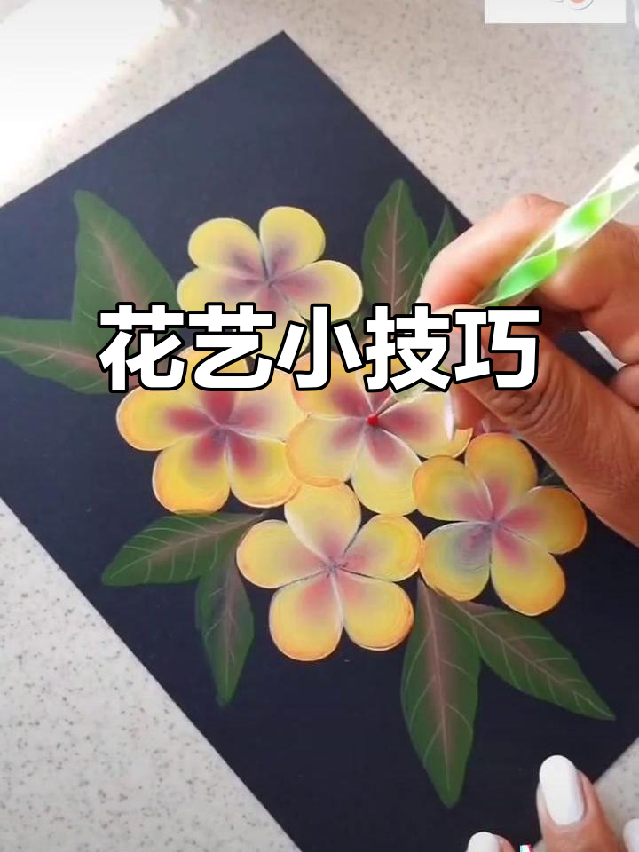 每天进步一小步,鸡蛋花轻松画起来!
