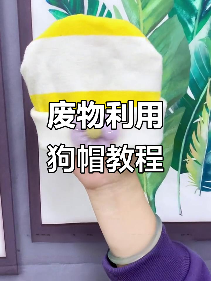 用废卫衣做狗狗帽子,简单又可爱