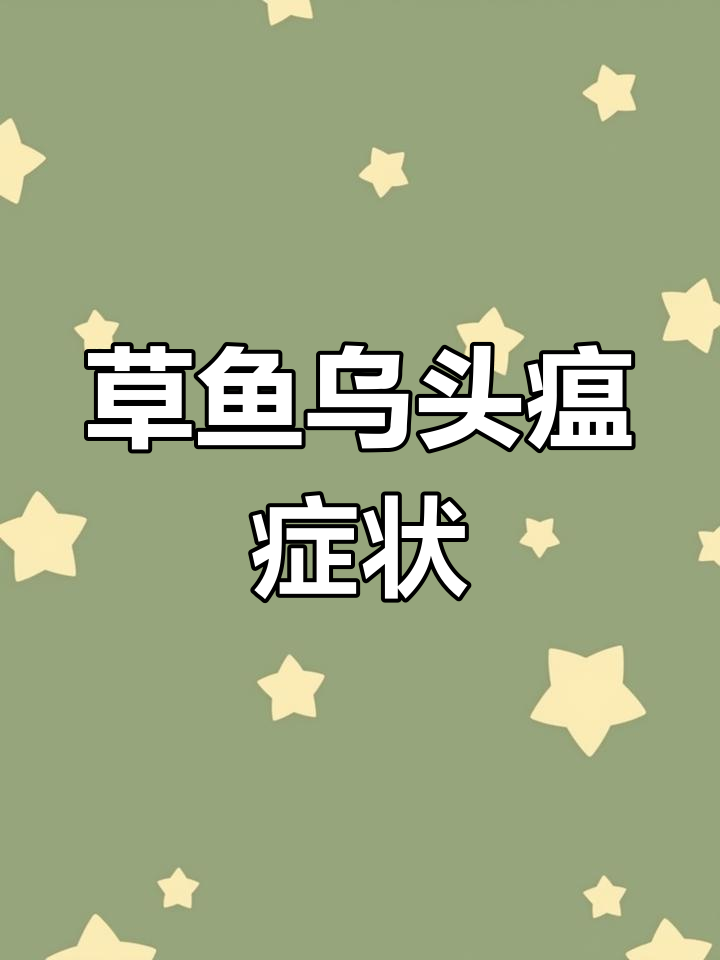 草鱼常见病症解析:乌头瘟症状及应对方法