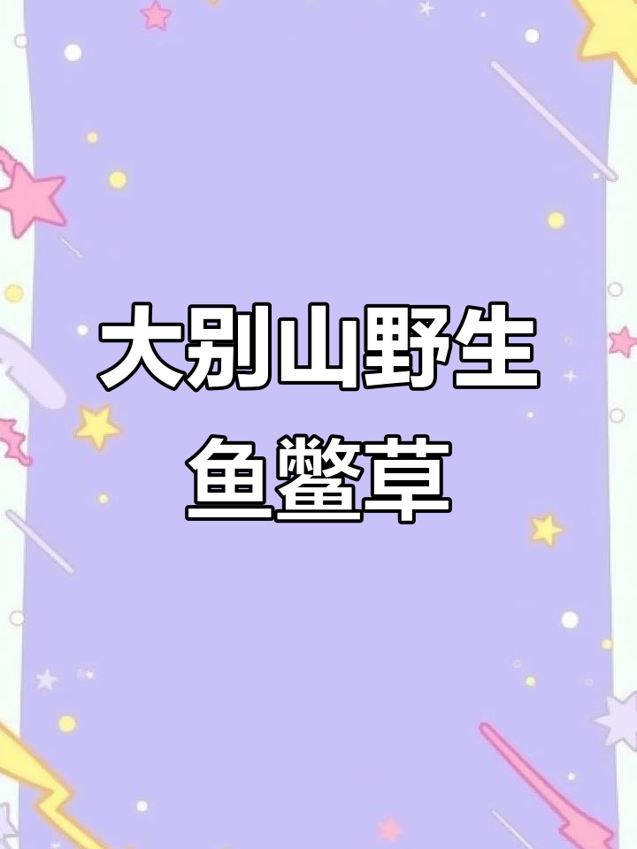 大别山野生鱼鳖草:珍稀草本,自然宝藏